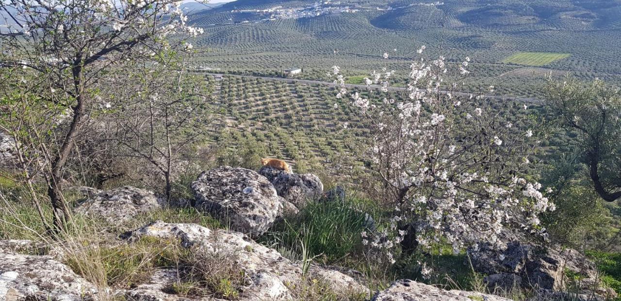 Casa Rural Los Danzantes Fuente-Tojar Buitenkant foto